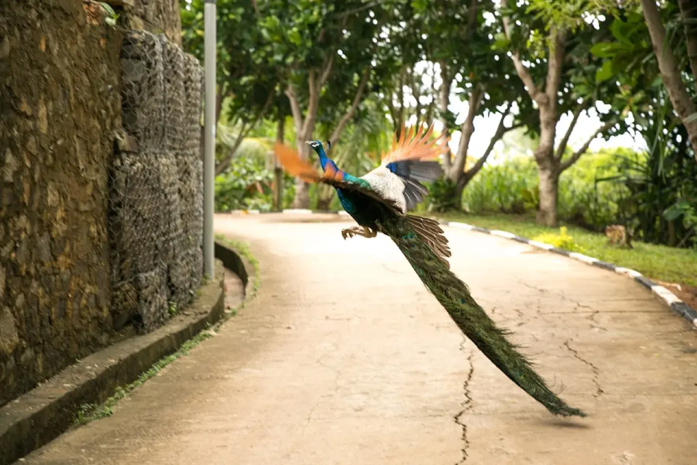 Jaffna, Sri Lanka