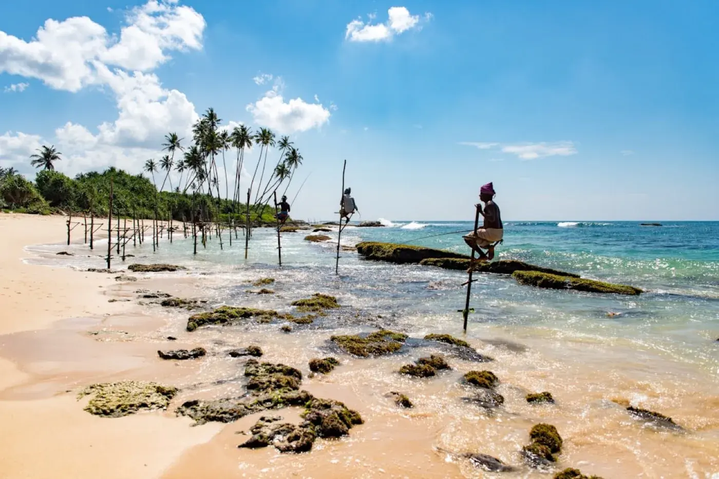 Galle - photo 2